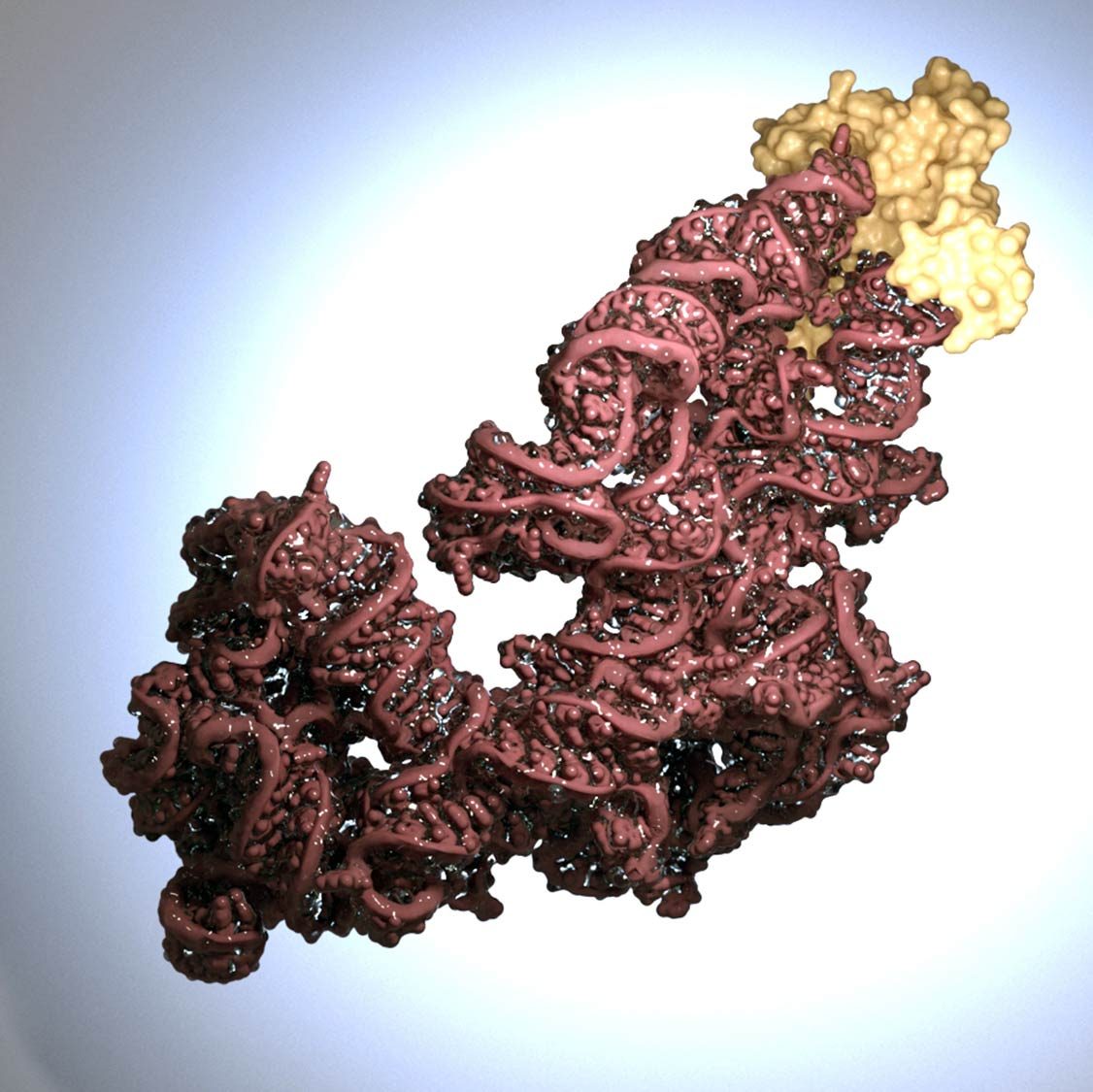 Organic mineral cluster