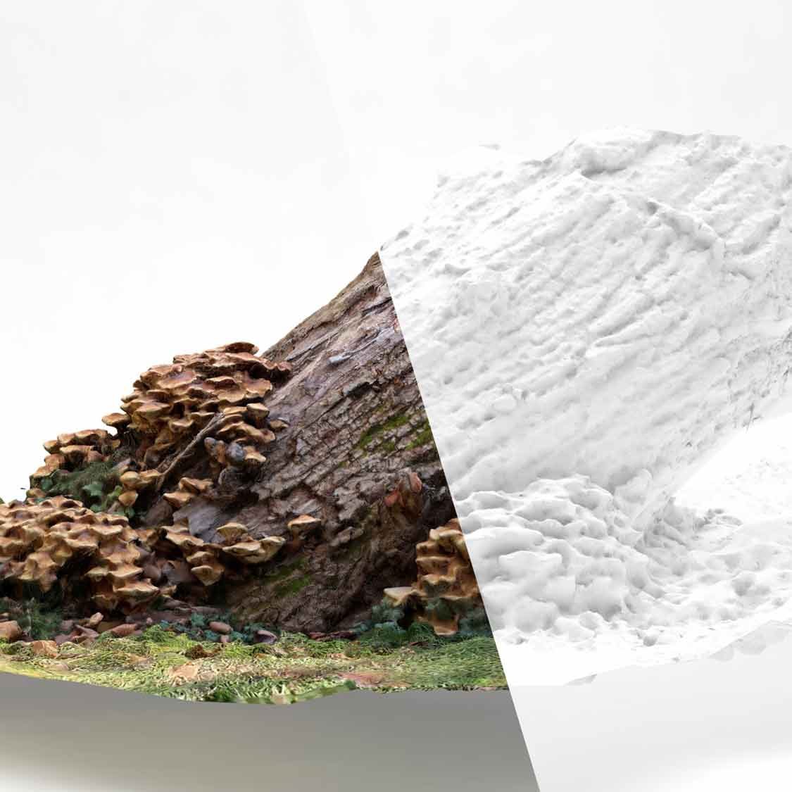 Terrain visualisation